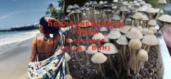 МДПВ Касимов